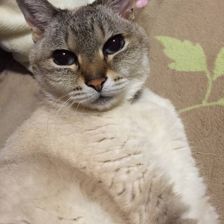 4df78210 8865 4b4d 983b c71a4383d971 1550747499584