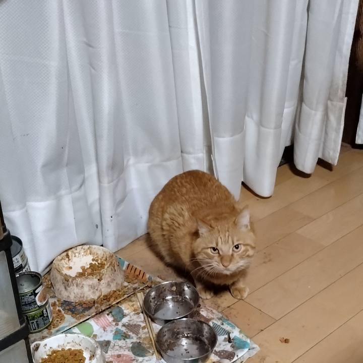 4df796fb c7eb 48f8 8115 1ef1fa8f105a 1702335549234