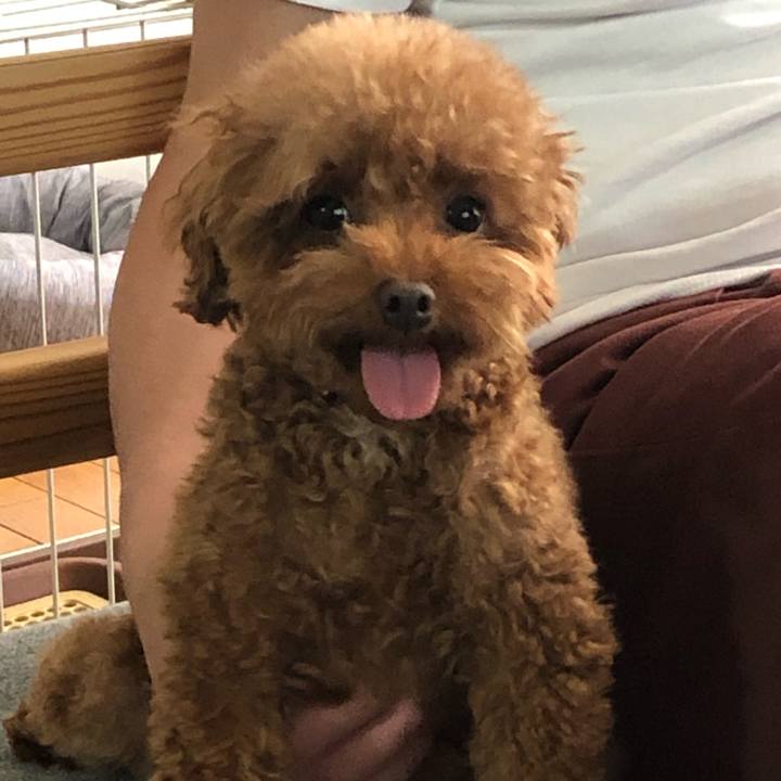 4df7c95c f668 48a6 97bb 3f4256ca9d9d 1591420834110