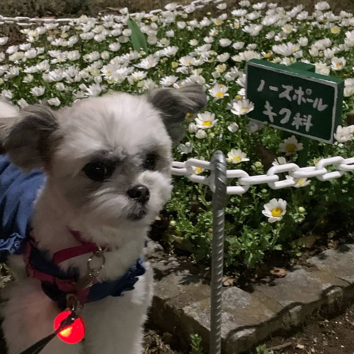 4df7dcfa d5cb 46a9 99c7 ffbcff05b470 1615717419749