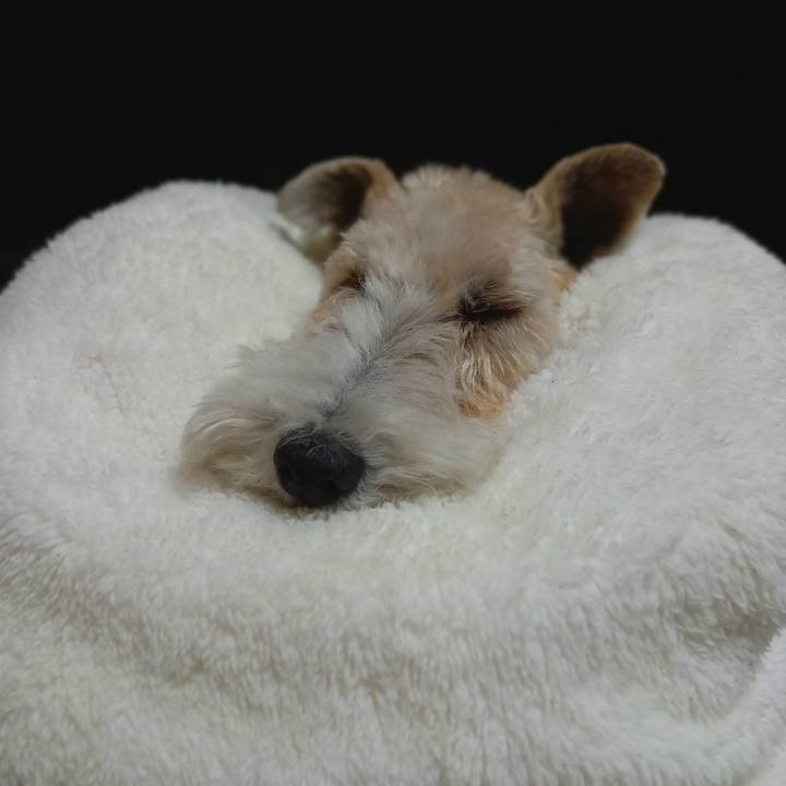 4df7e141 b153 41b3 a3b7 669db6fbee05 1608035384727