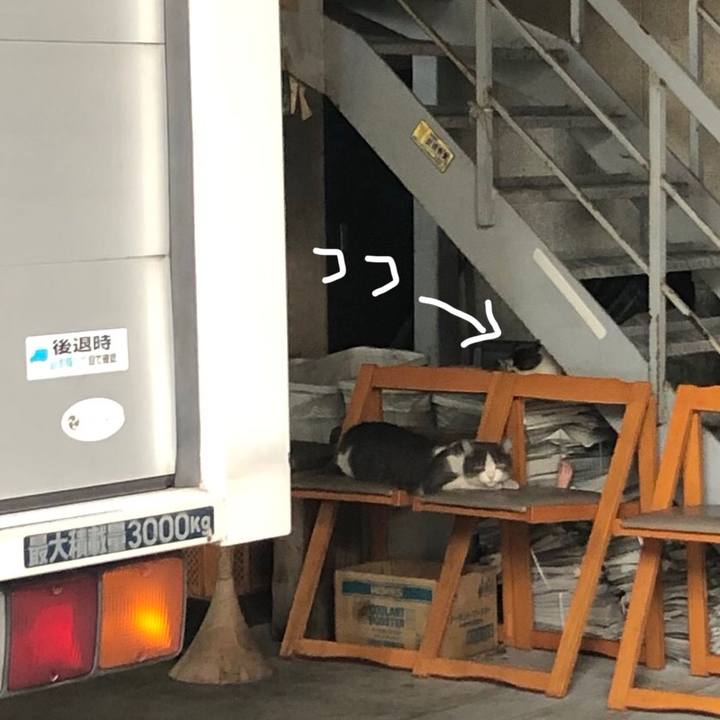 4df85e36 bcfe 4578 b7a3 5fefc4485fe1 1570465087674