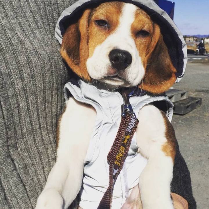 4df87b79 fecc 4980 b896 cb1f2ab27680 1728459310382