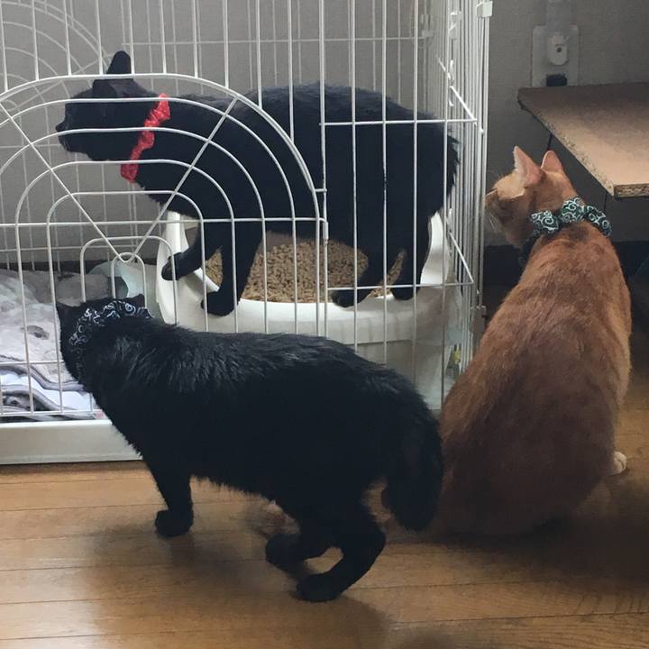 4df88a8f 0609 4507 9b42 eef5f559c68d 1537755027178