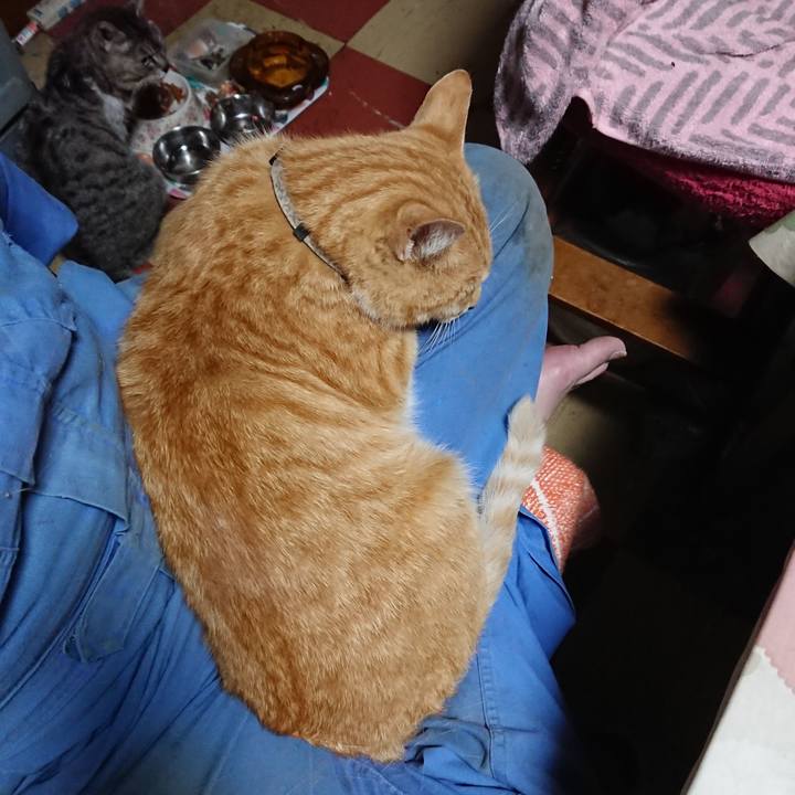 4df88db0 9d4b 4b2f 8fef 14a9bc320fc0 1590526884182