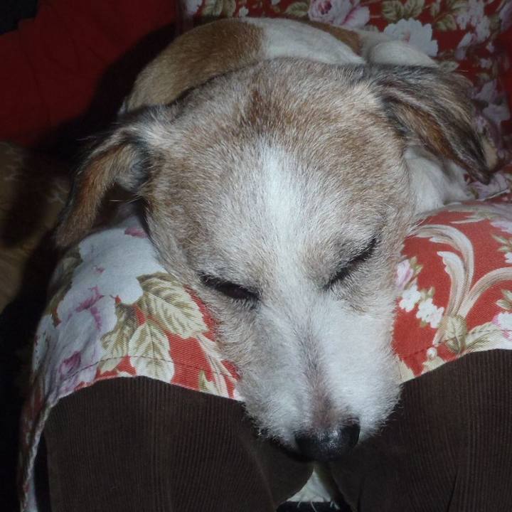 4df8d941 3d6c 4f64 b7fb 70d97bd4c4d6 1574427941332