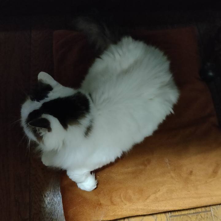 4df8ec1c e2f7 4e21 be6b 91531862343a 1581243632201