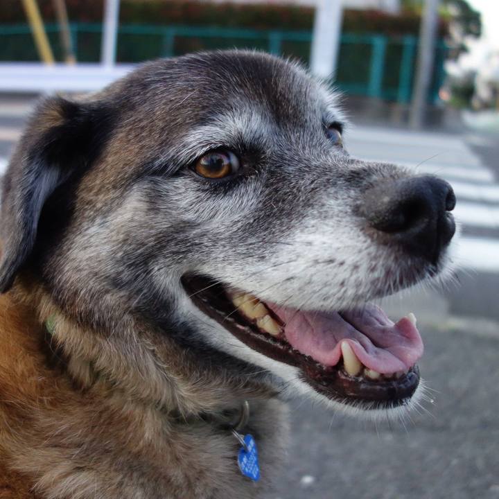 4df8fc10 e6ed 46f2 8330 a18ba2a50336 1641172648593