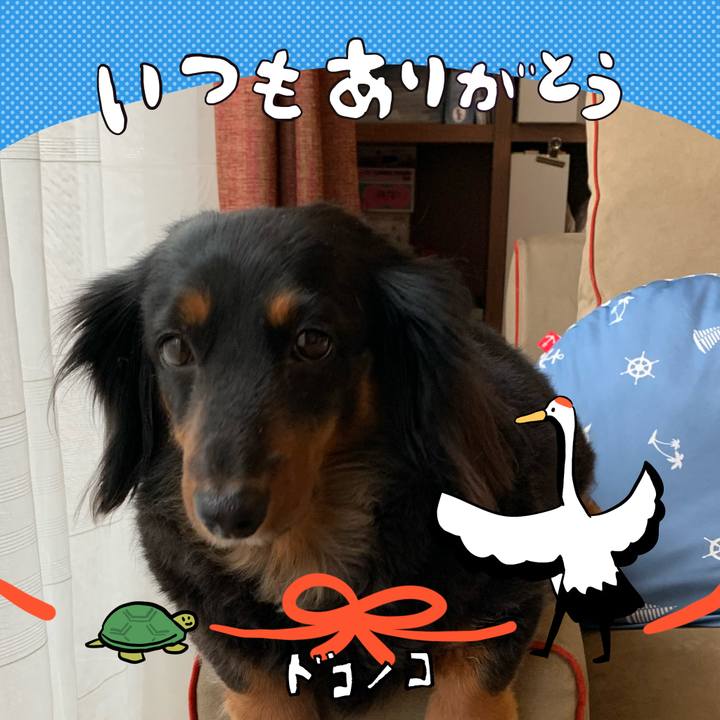 4df91e23 c904 40fa a084 6464619ea96e 1726921993254