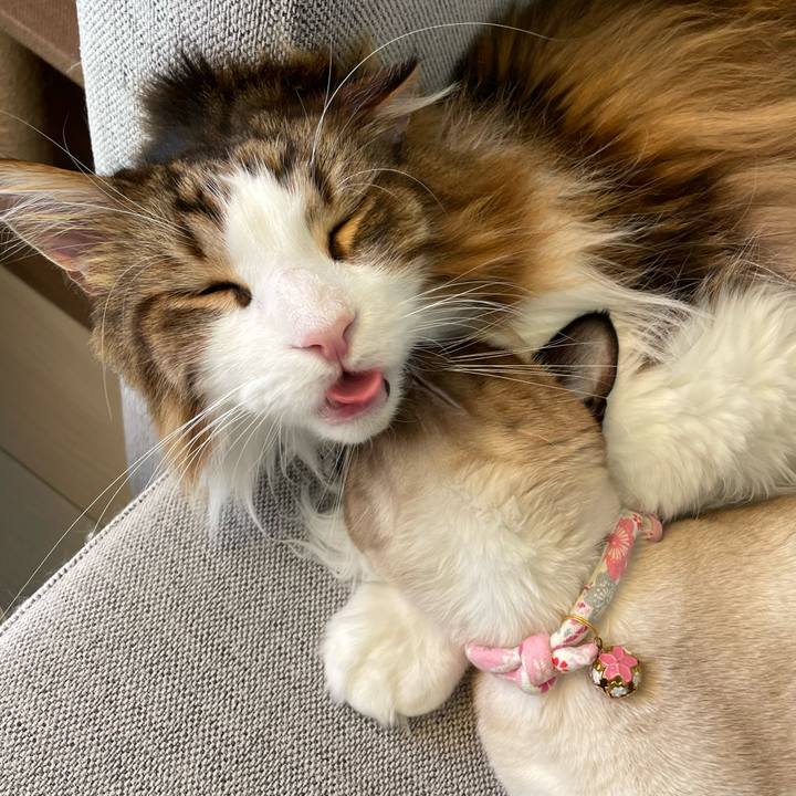 4df924d3 95e0 4024 a015 ed4894f952c3 1713596779494