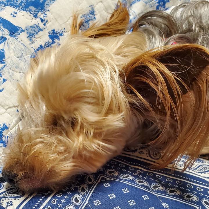 4df94960 be82 494a 90ab 9a346c5142c3 1622542530921