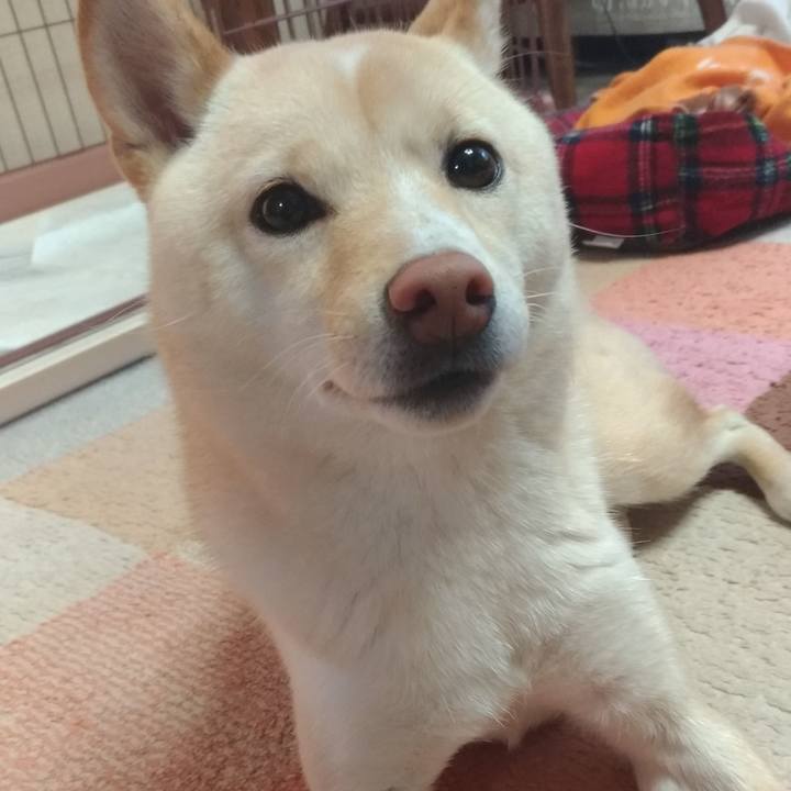 4df95e26 a4b3 48e6 8a2a 8ddae494d07b 1545088416309