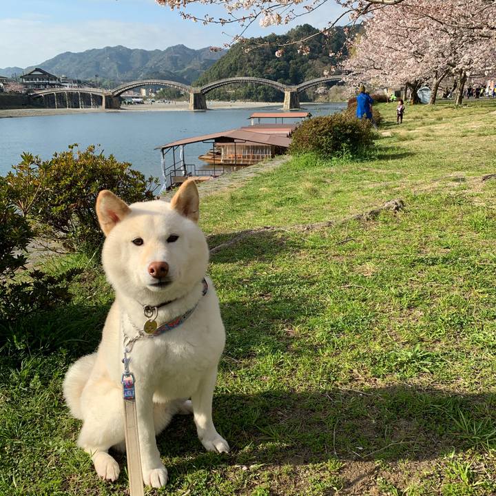 4df96843 707a 481d b33b be4dafcb6e50 1616802432761