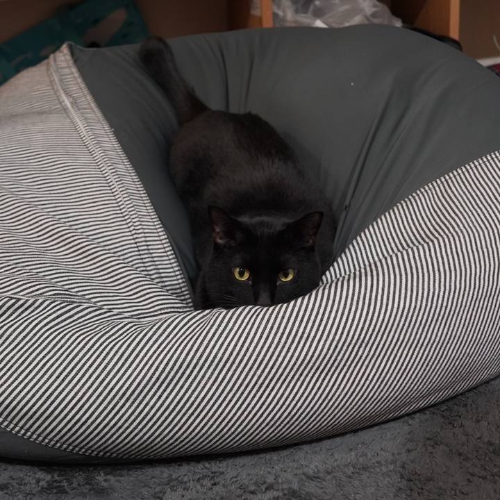 4df975a3 1c74 46e7 a824 763685dd17c1 1612534420625