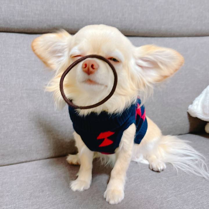 4df98411 f904 4cf3 ada5 007279ebde21 1648200984395