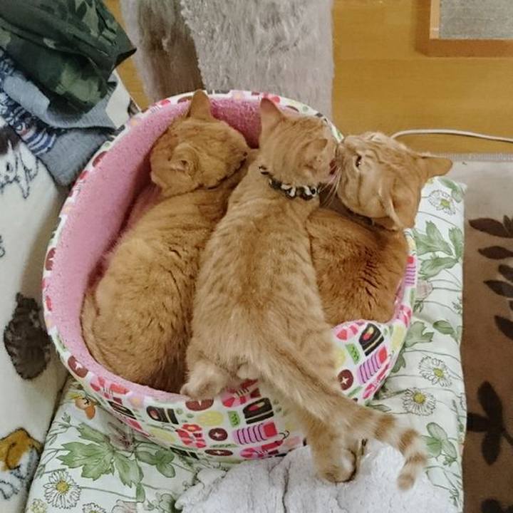 4df9b640 0a34 41d5 9506 de819b32aefa 1580294770140