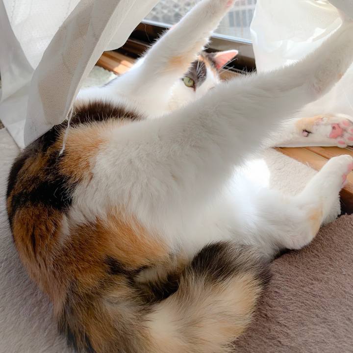 4dfa4f76 0d11 49d1 86ff 5eb8f2b0d1ee 1558921664787