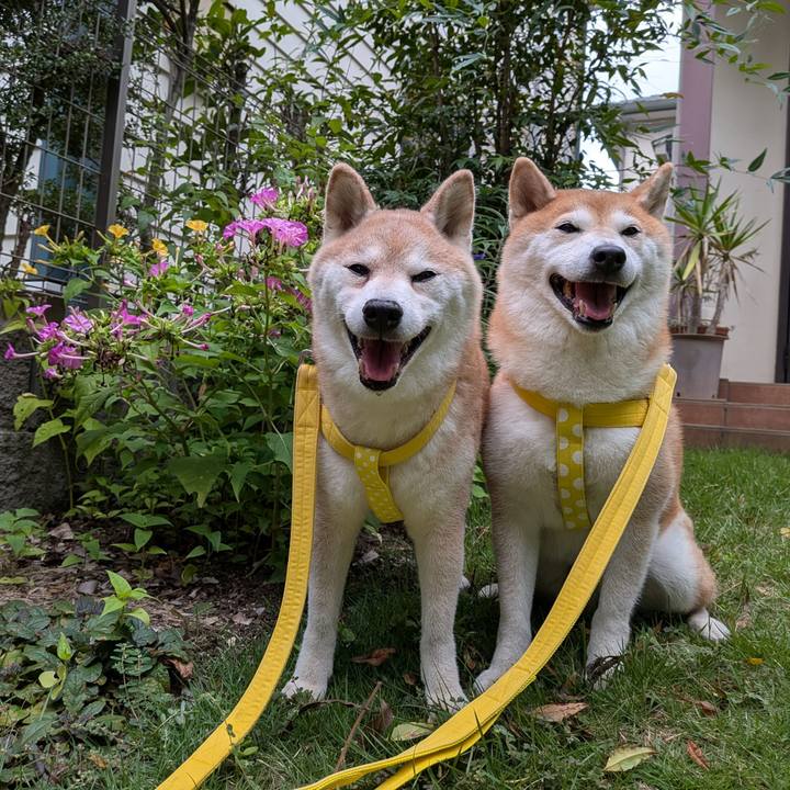 4dfa5eaf 08f9 45f8 b511 b0ad71a93adb 1756340956921