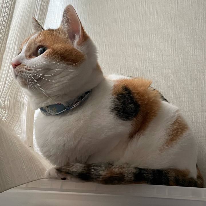 4dfaa959 295b 45c9 b0bb d02487f8d103 1708735493195