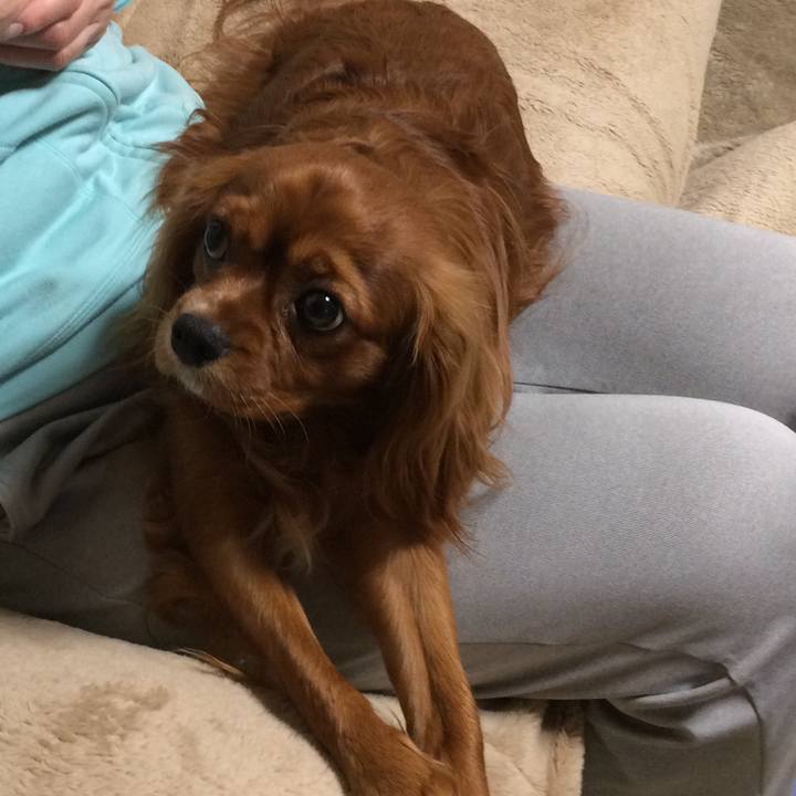 4dfab64c 2f8e 4d99 afd6 b260fb13414d 1523226104908