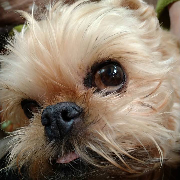 4dfacbc0 aafe 40c1 af54 c382c59b2c79 1641608291538