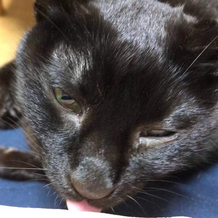 4dfad212 4d49 44b7 9788 20f34e596c29 1734792190057