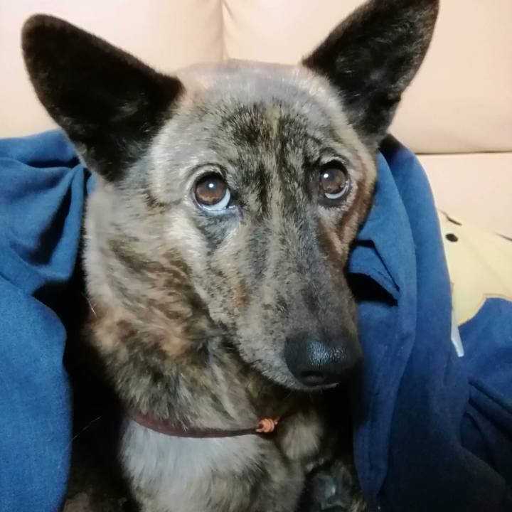 4dfae428 8169 4771 a4b0 7c27bad5287f 1575640071291