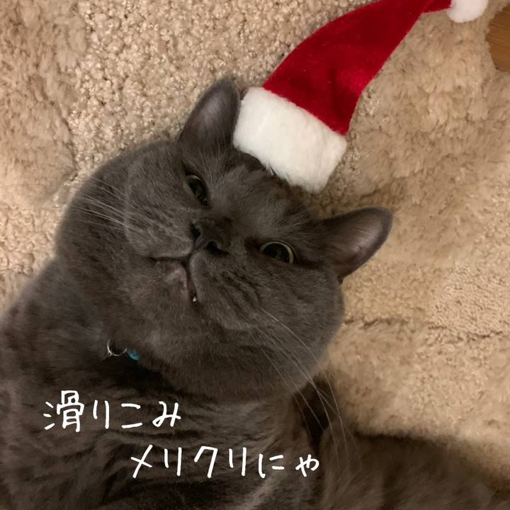 4dfb18d8 b41f 4555 9e7a 44adc575d220 1608818643575