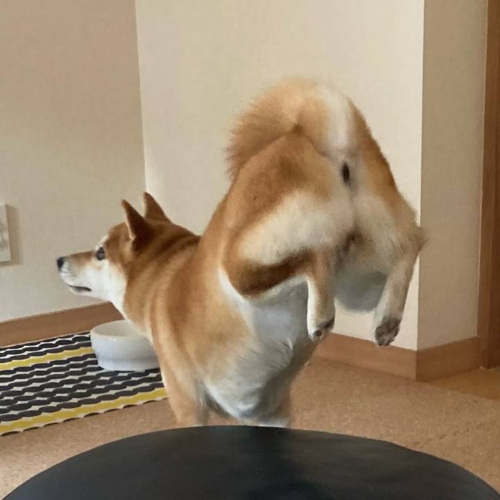 4dfb1be6 35b6 45d2 bfdf 559719ef7101 1644109681736