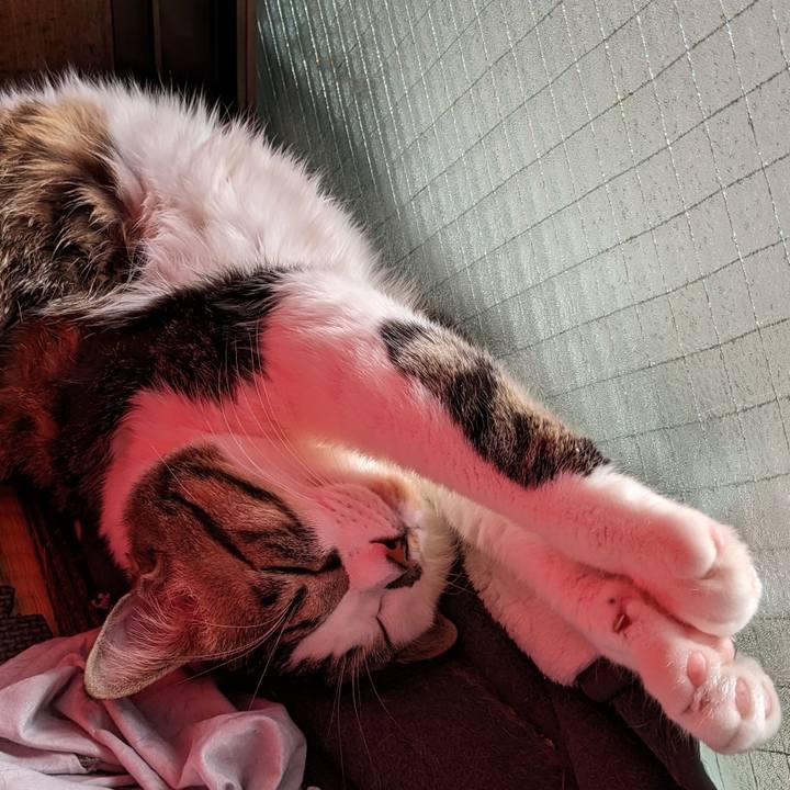 4dfb4235 32d1 4371 8cbd 8b6e2494d0c8 1706238269222