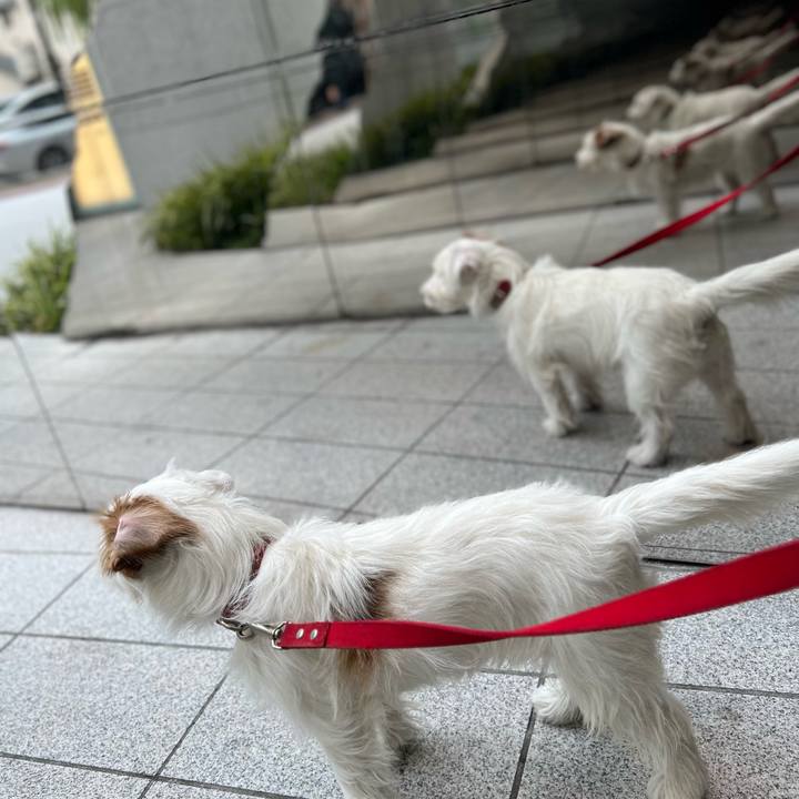 4dfb5b13 6a02 46cf 81d9 31259fa9b368 1704286142928