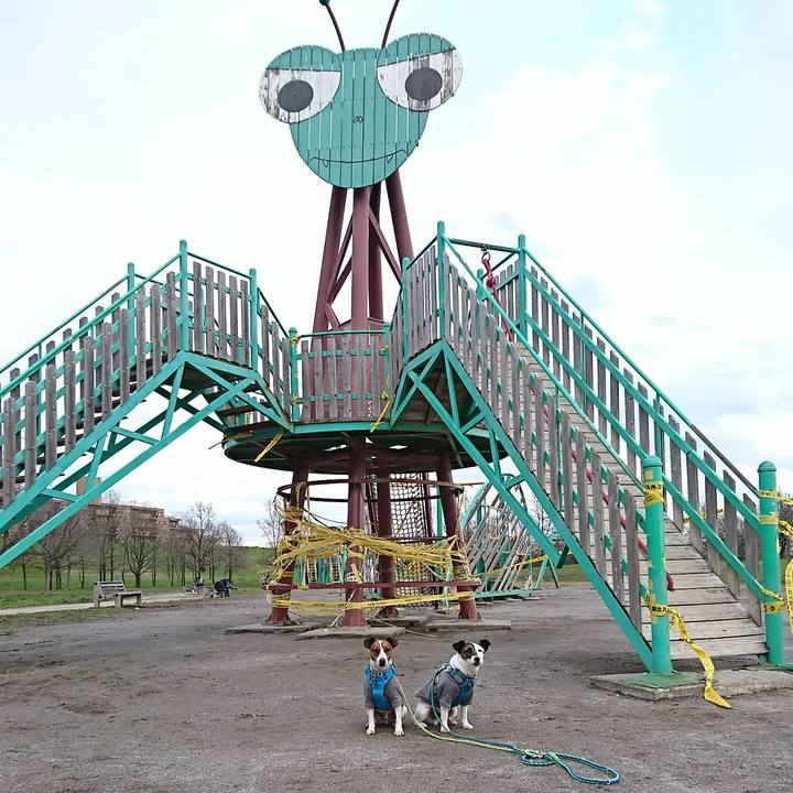 4dfb63dc f146 484e a9dc 7ff494ab8e5f 1584259610809