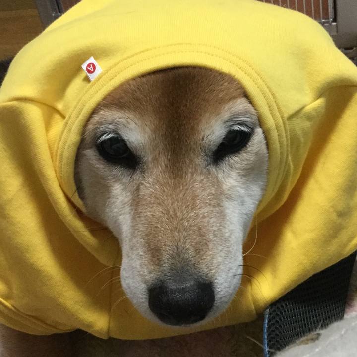 4dfb8d85 5c13 4a1d a093 92f2a1f84cda 1608423383607