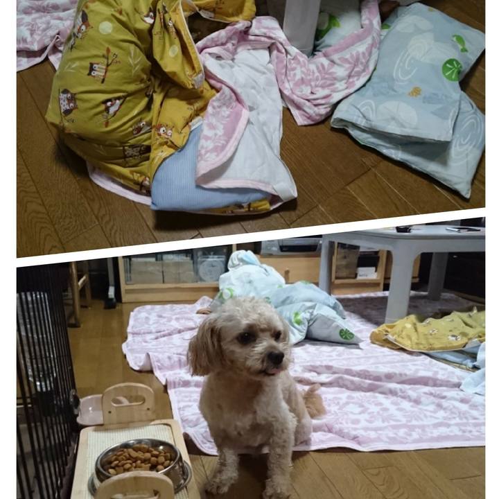 4dfbc198 cd69 42e3 8d75 f14e81ee8f98 1563707557698