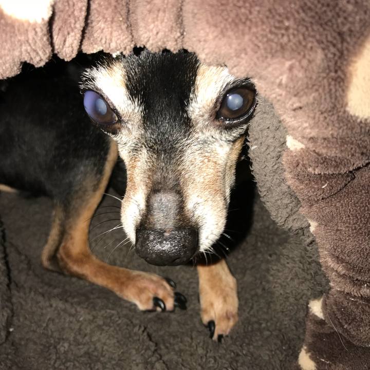 4dfbe40b 3c97 4ae6 a8ae ef81755ba275 1529069537982