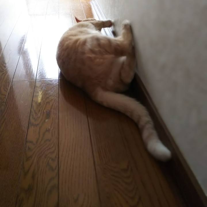 4dfbe518 4686 4fb8 bc53 84aad831efcd 1567824419660