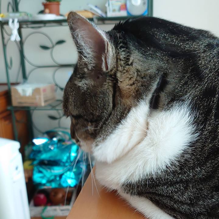 4dfc166c fa42 4e3d 966b da5739a247a7 1629343698482