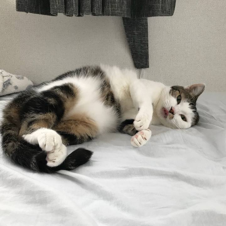 4dfc491f 6003 4576 8992 dda0dff0cf3d 1530510533695