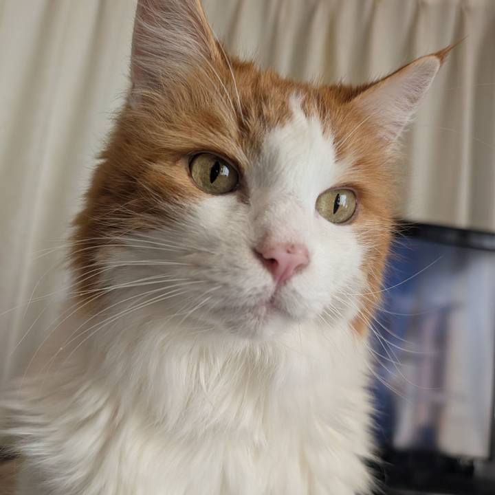 4dfca76f 3dfb 4638 b08d fcbfcc4e3dc6 1767846289171