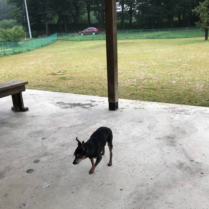 4dfcf0c9 0471 46e0 9653 140e377489a0 1566303416738