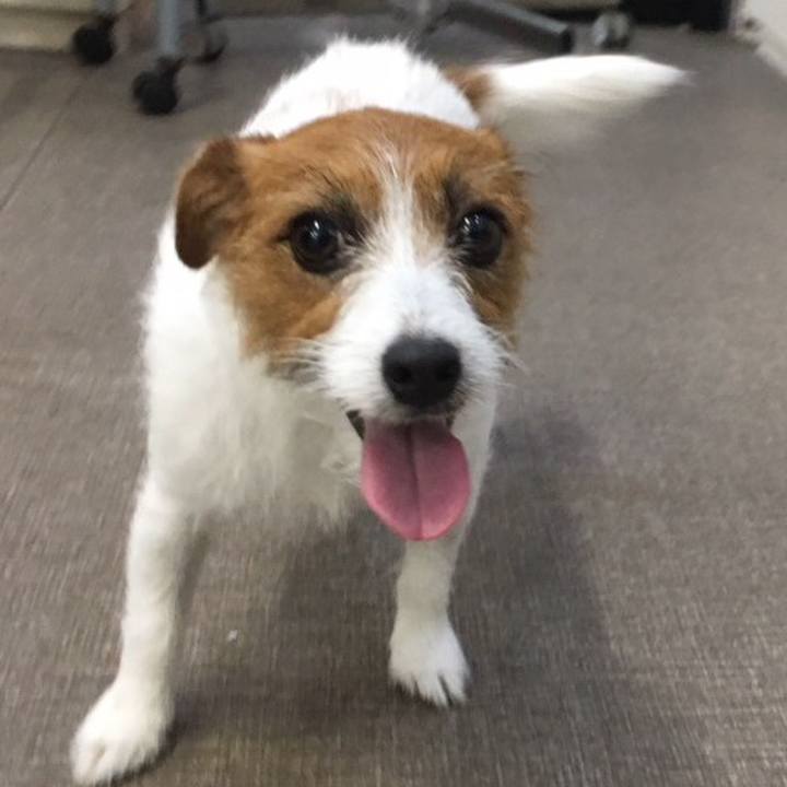 4dfcfdc4 c1aa 43b1 ae7f 037ace6b2f95 1535633962132