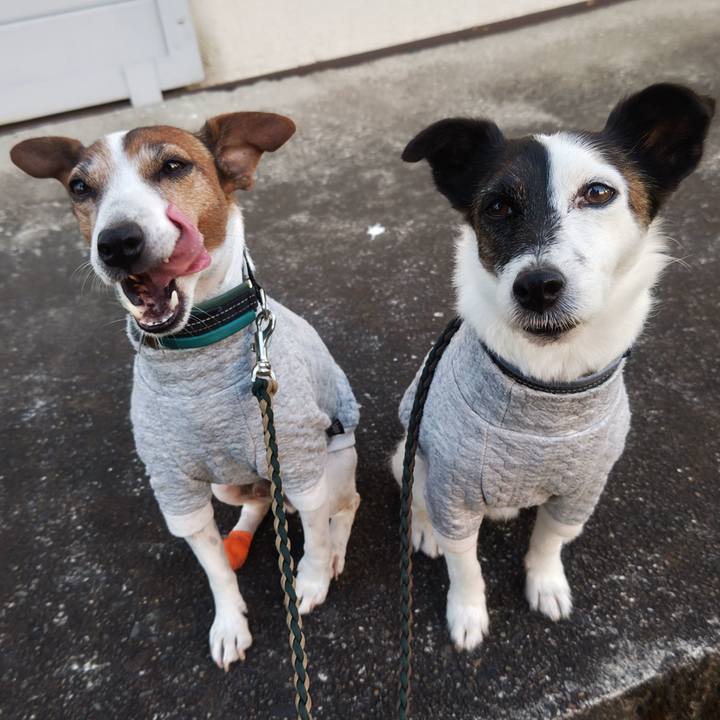 4dfcff10 cfb0 409d a79f 759b77de0b2f 1763070597198