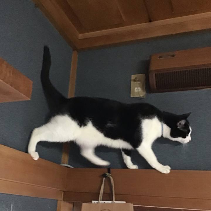 4dfd0275 4409 4a65 a4d4 d9520ea0c9e2 1728631341401