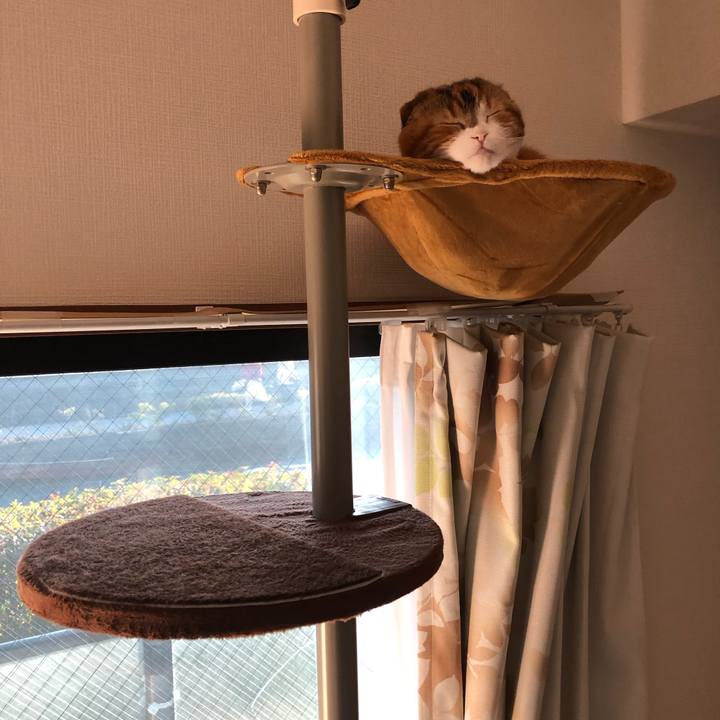 4dfd0487 6c55 43e4 a2a2 8743ea4af0d7 1551523571806