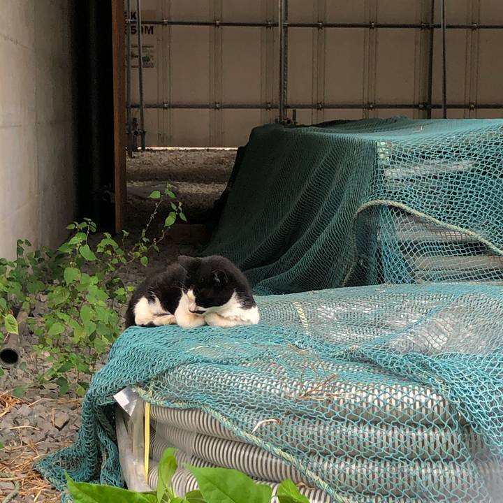 4dfd0ce6 bb8e 4bf0 8b0e 5c8fa7365c66 1601363451402