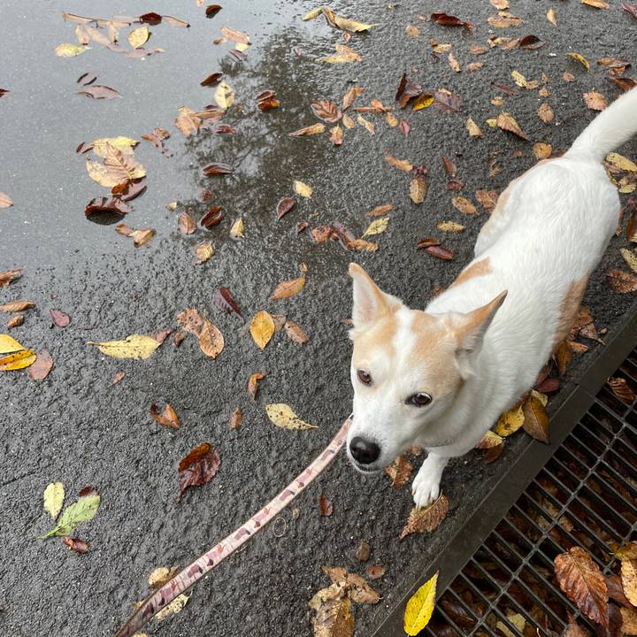 4dfd3222 9890 4408 9357 ce0de6f4ea02 1700175561199