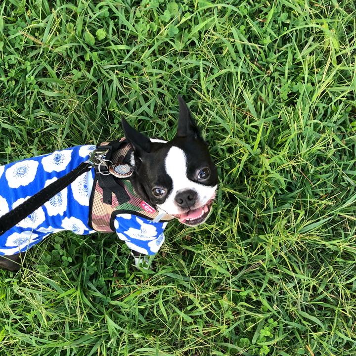 4dfd43a0 cd37 4170 9881 2fd314a65c87 1538470913697