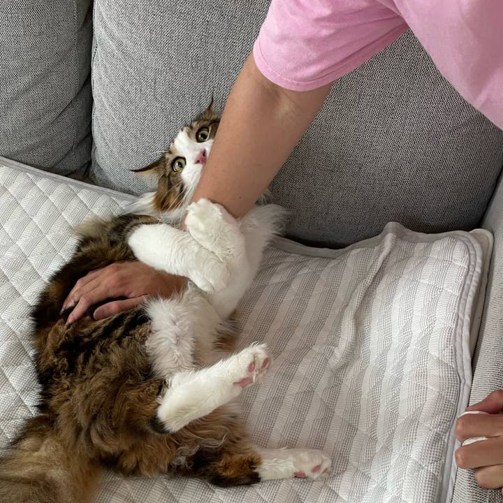 4dfd7b72 a737 48a6 8b7f e87c5ab11f35 1657143441185