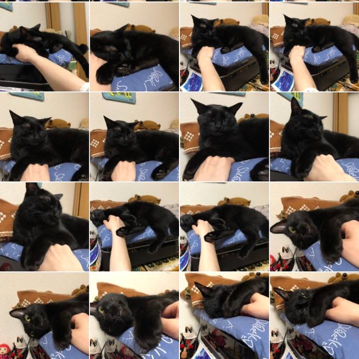 4dfd9fbd 7a36 43ec 9e84 fdd166fe9bb4 1530329866674