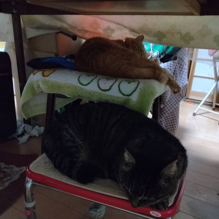 4dfda330 a43a 406b a4a3 01957a4b9c42 1671780179703